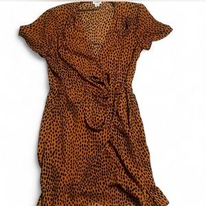 J. Crew Brown and Black Midi Dress